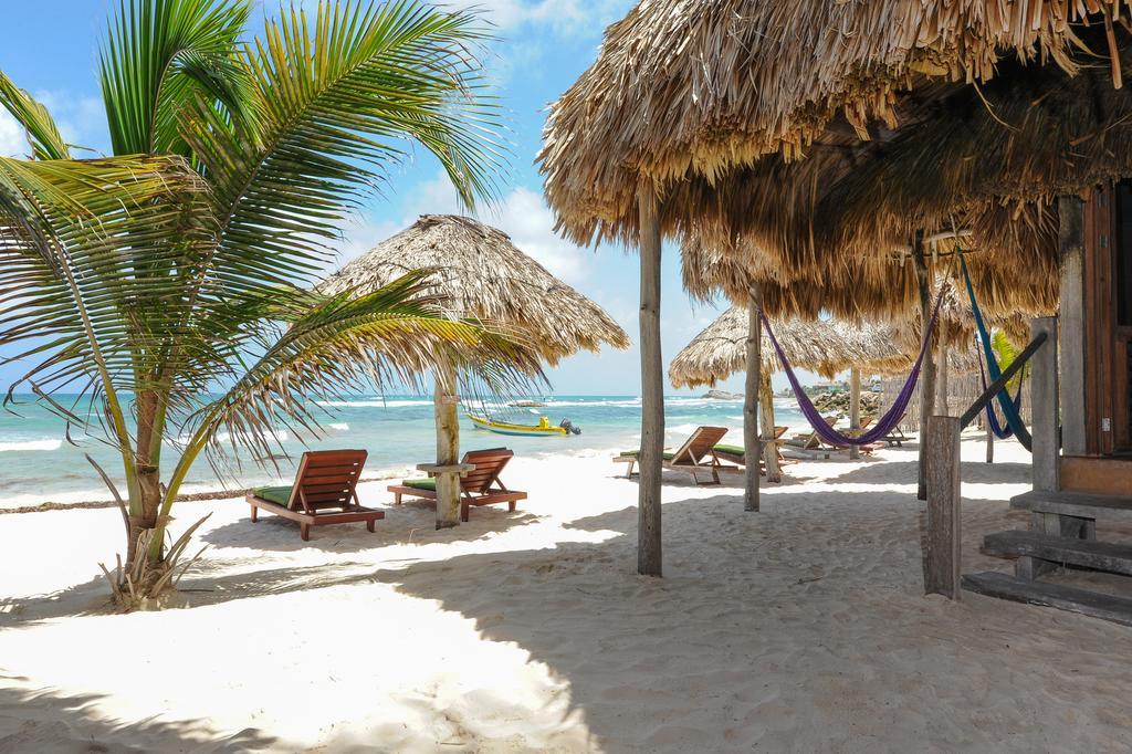 Bungalow - Beach Front,442392807:JPEG